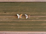 Ohrstecker kleiner Schmetterling Sterling Silber